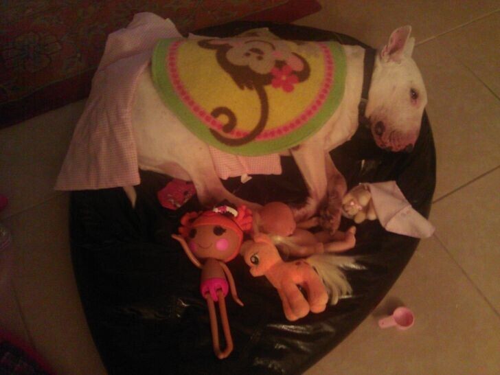 
        16&nbsp;доказательств того, что&nbsp;жизнь с&nbsp;детьми и&nbsp;питомцами полна приключений    