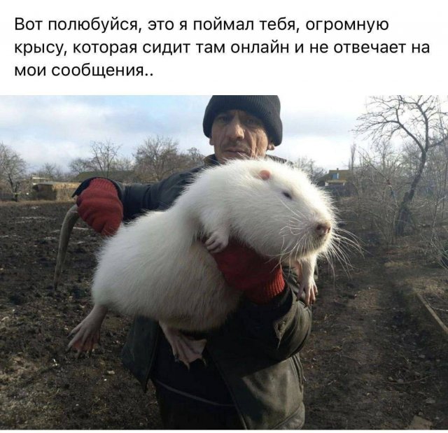 Смешные мемы - 03.11.2025 (15 фото)