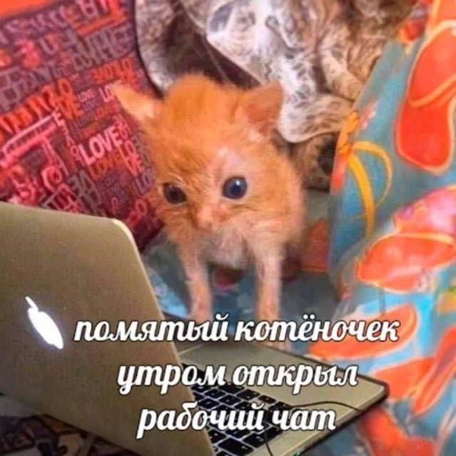 Подборка жизненных мемов о трудностях работы