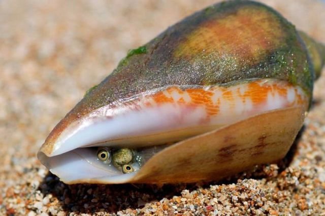 Подборка картинок. Вечерний выпуск - 27.11.2025 (30 фото)