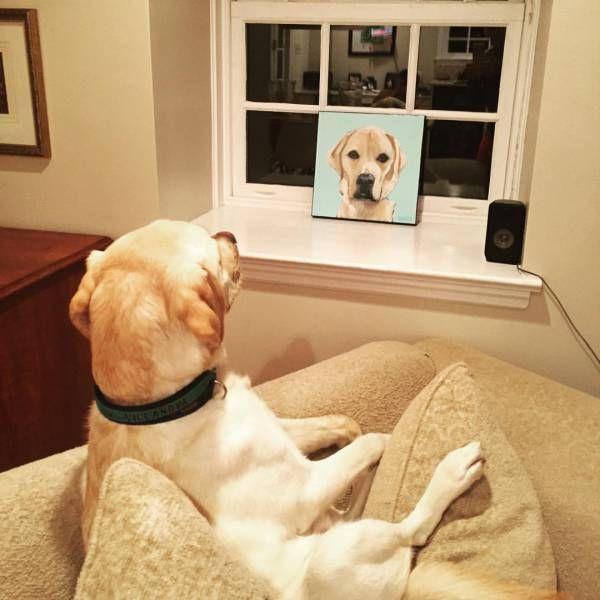 Подборка прикольных фото №3819