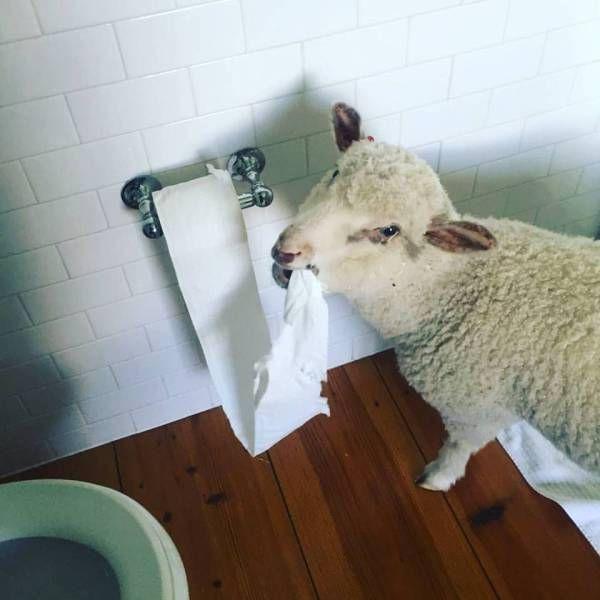 Подборка прикольных фото №3819