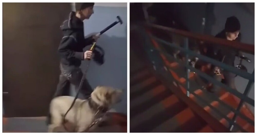 
        В&nbsp;Омске женщина с&nbsp;молотком и&nbsp;отверткой пугает соседей    