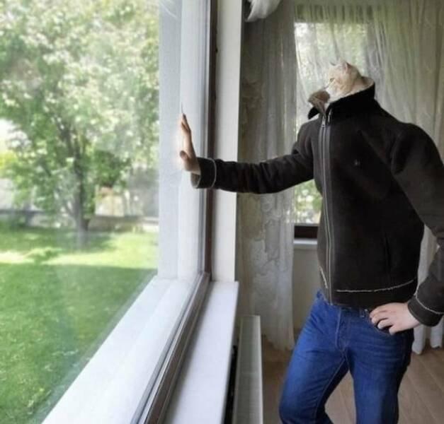 Подборка прикольных фото №3821