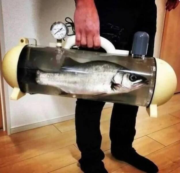 Подборка прикольных фото №3826