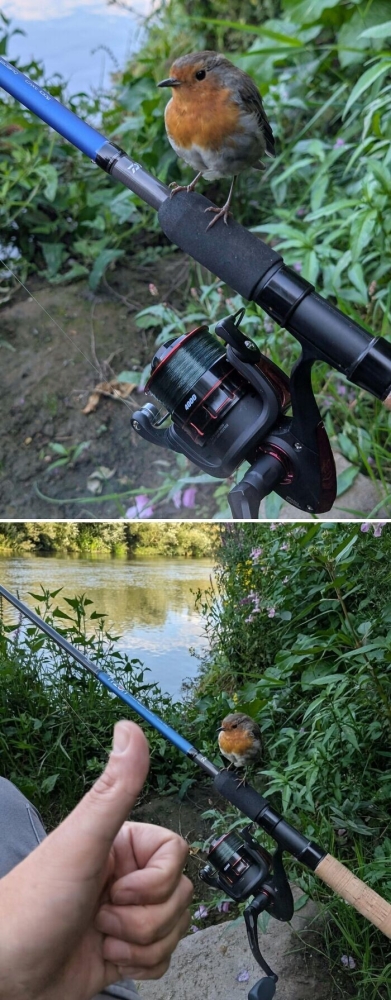 30 снимков животных для хорошего настроения
30 снимков животных для хорошего настроения