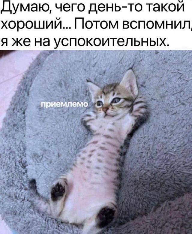 Смешные мемы - 03.11.2025 (15 фото)