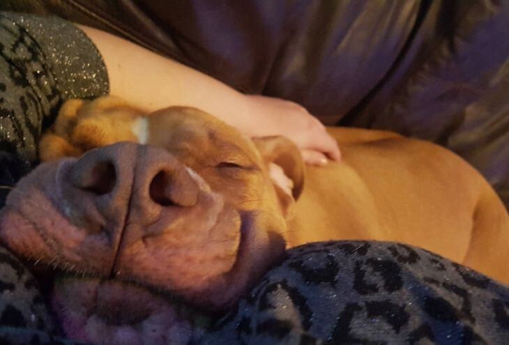 
        20&nbsp;одухотворённых мастеров дзена, которые знают о&nbsp;релаксе всё&nbsp;и&nbsp;даже немного больше    