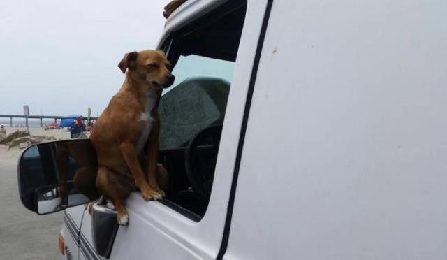 Подборка прикольных фото №3824