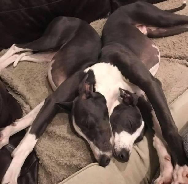 Оказалось, показалось: игра для внимательных глаз Оказалось, показалось: игра для внимательных глаз