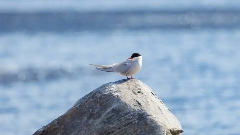 
        10&nbsp;фактов, которые меняют видение привычной реальности    