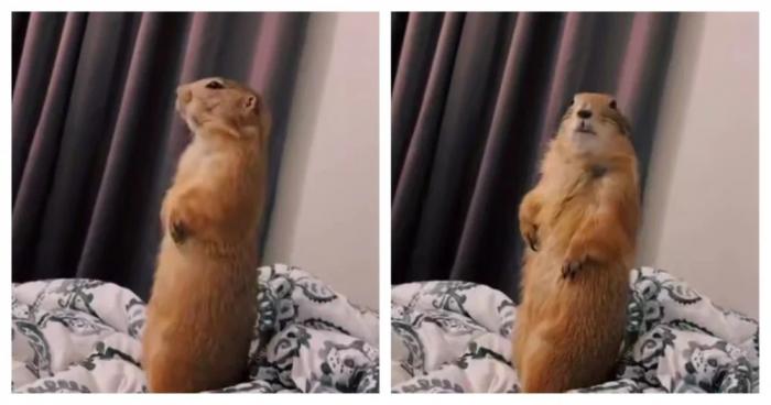 Подборка прикольных фото №3856