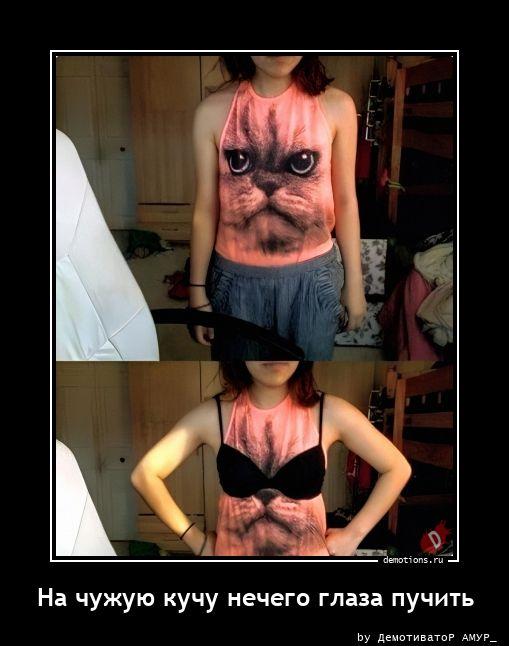 
			Демотиваторы №3777 (15 фото)