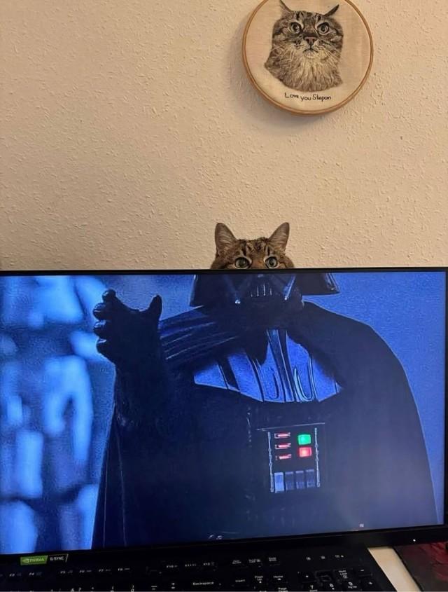 Подборка прикольных фото №3854