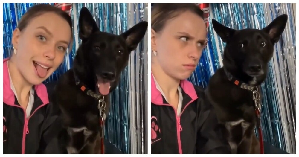 Девушка повторяет за своей собакой
Девушка повторяет за своей собакой