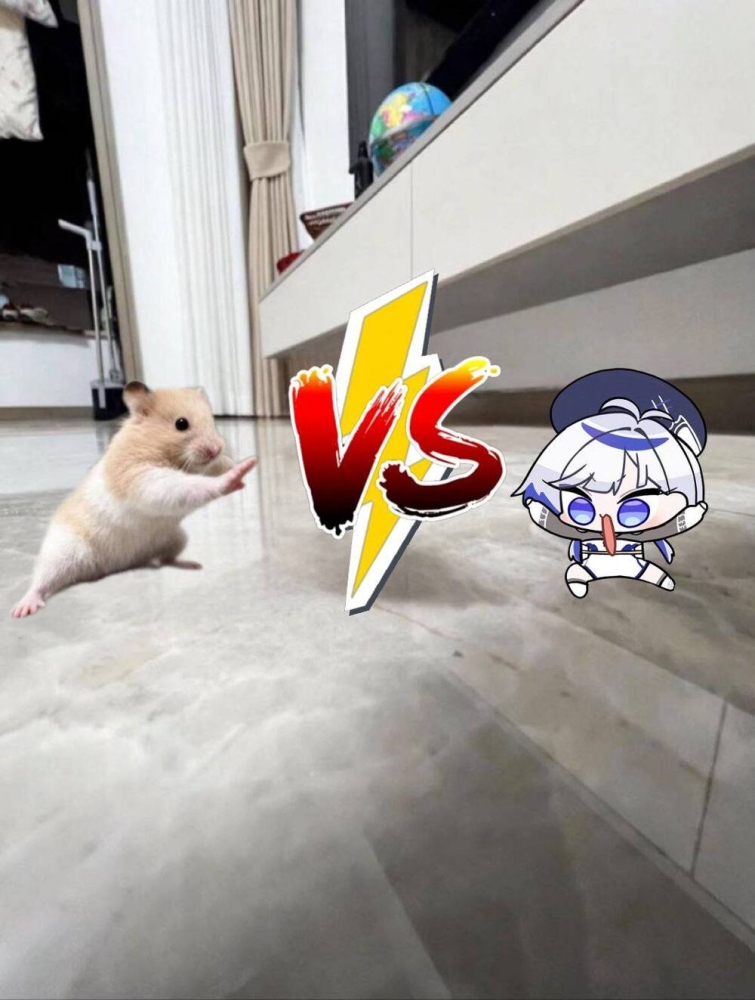 
        Кунг-фу хомяк прославился в&nbsp;сети    