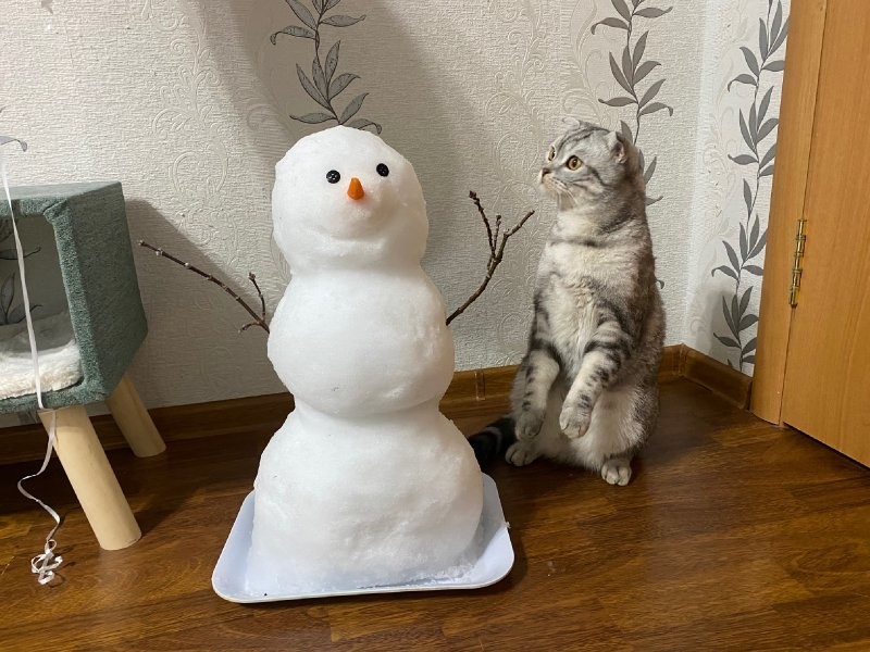 
        25&nbsp;примеров трогательного знакомства домашних питомцев с&nbsp;милыми снеговиками и&nbsp;собственными снежными копиями    