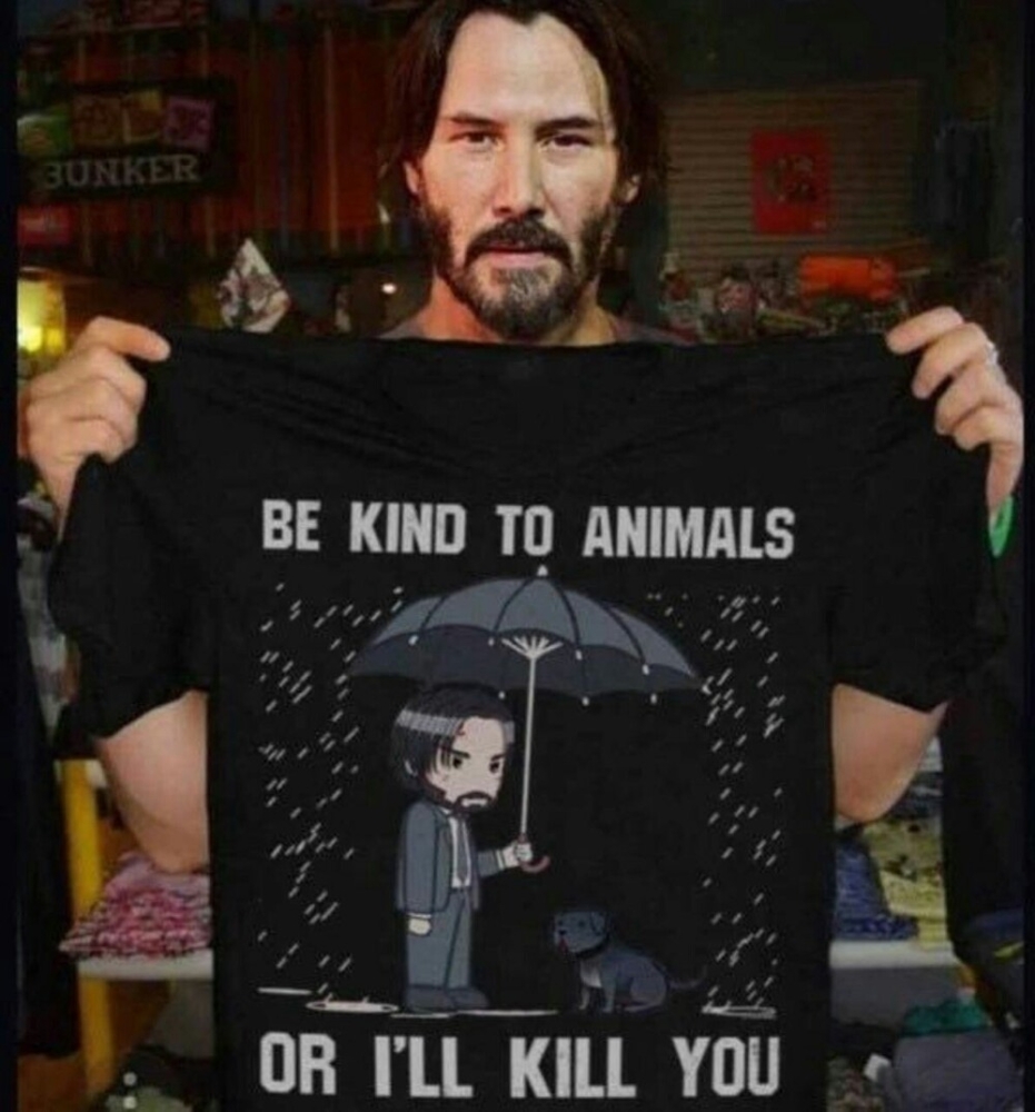 Киану Ривз открыл крупнейший в мире бесплатный приют для кошек и собак
Киану Ривз открыл крупнейший в мире бесплатный приют для кошек и собак