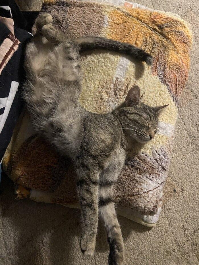 Подборка прикольных фото №3856