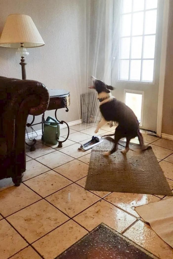 Подборка прикольных фото №3856