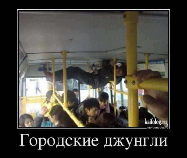 
			Демотиваторы №3778 (15 фото)