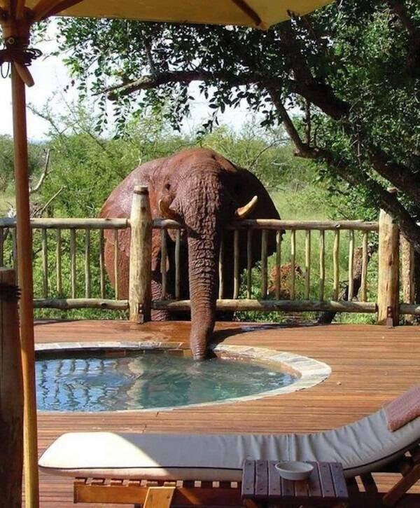 Подборка прикольных фото №3858