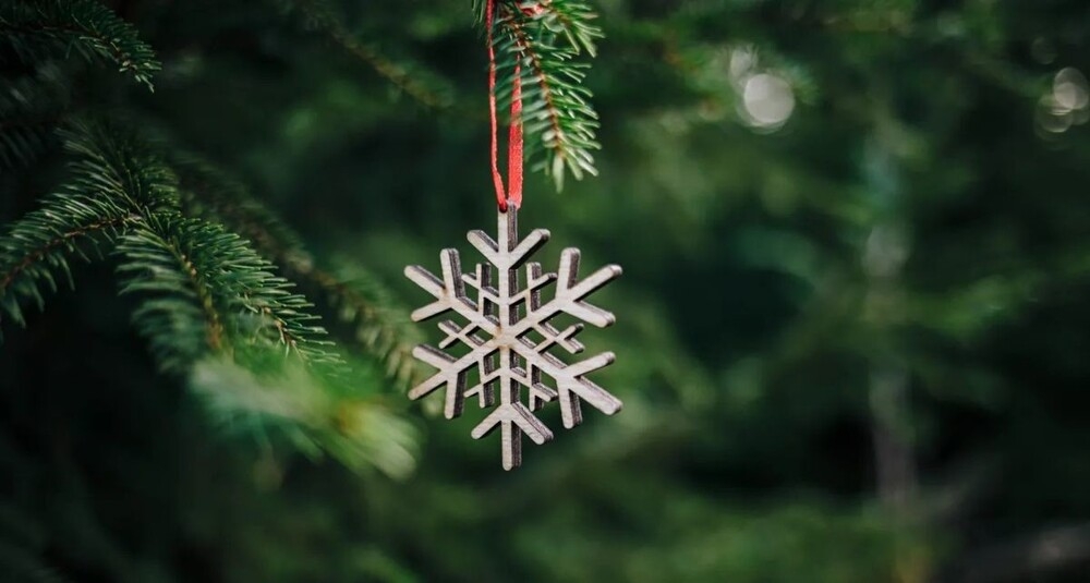 
        Любители живых ёлок столкнулись с&nbsp;неожиданной проблемой&nbsp;    