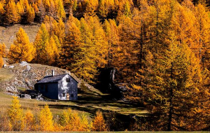 Подборка прикольных фото №3848