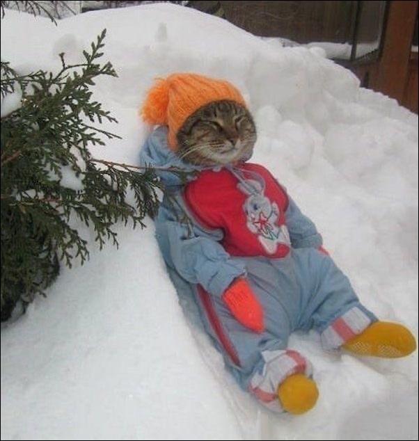 Подборка прикольных фото №3838