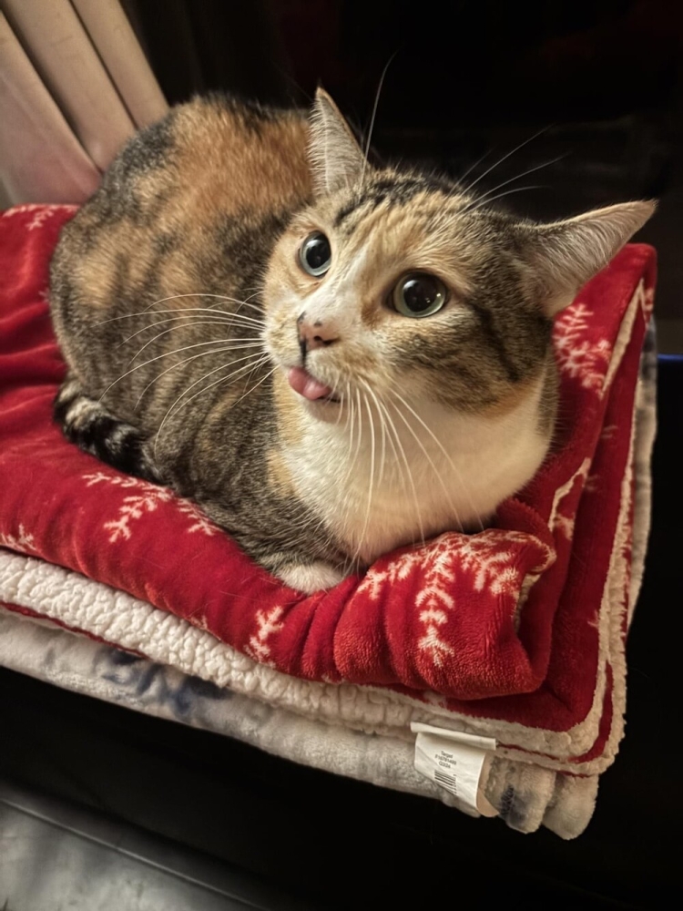 
        20&nbsp;пушистых примеров наполнения нашей жизни глубоким смыслом    