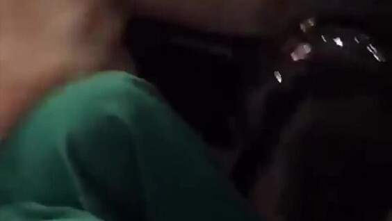 
        Мужчина надел костюм в&nbsp;виде любимой игрушки своего пса    