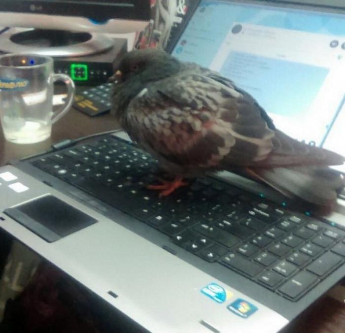 Подборка прикольных фото №3846