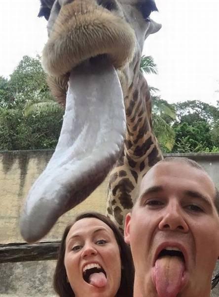 Подборка прикольных фото №3842