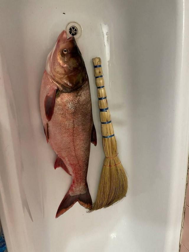 Подборка прикольных фото №3838