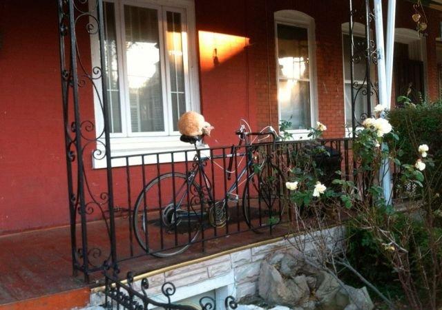 Подборка прикольных фото №3837