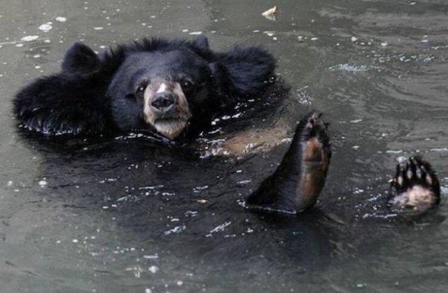 Подборка прикольных фото №3851