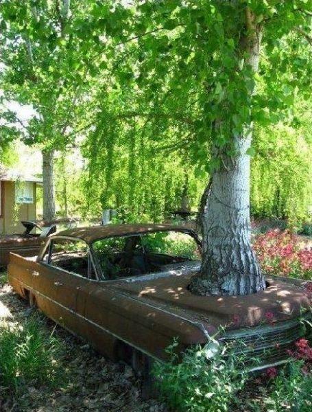 Подборка прикольных фото №3840
