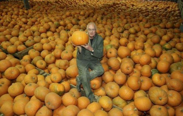 Подборка прикольных фото №3841