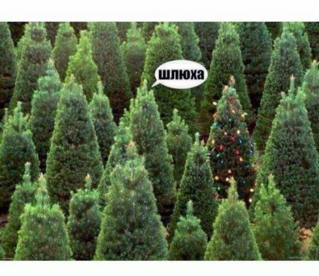 Подборка прикольных фото №3852