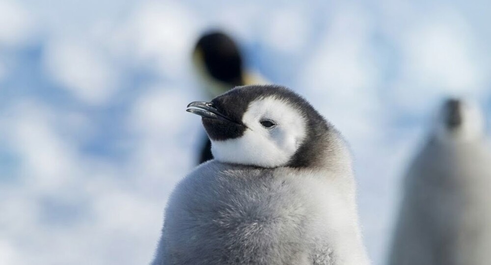 
        Уровень спокойствия к&nbsp;которому стоит стремиться    