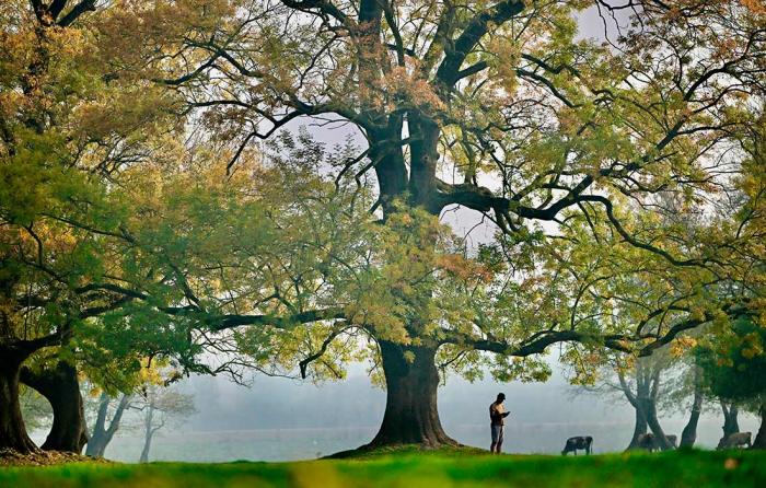 Подборка прикольных фото №3848