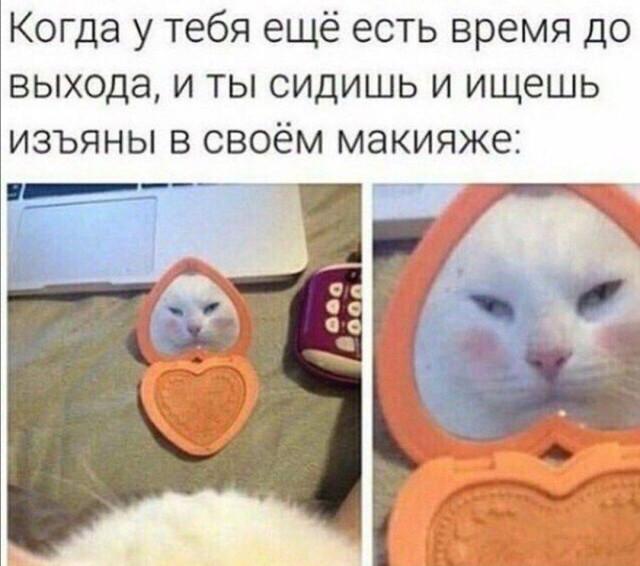 Немного мемов на ночь для хороших снов