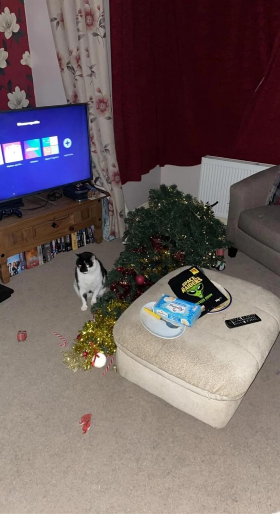 Подборка прикольных фото №3847