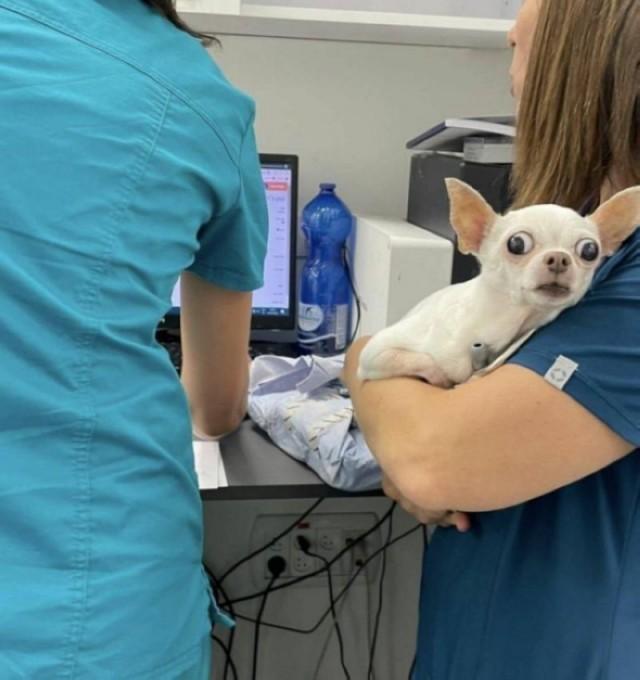 Подборка прикольных фото №3843