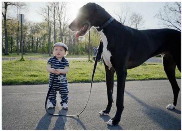 Подборка прикольных фото №3849