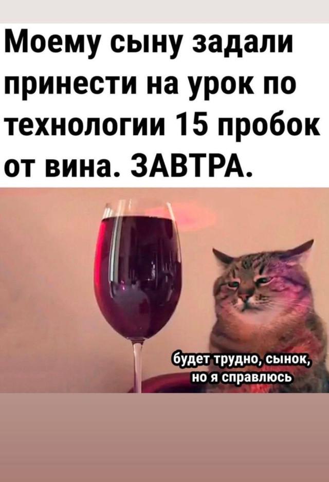 Мемы и приколы для небольшого перерыва