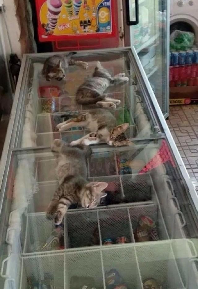 Подборка прикольных фото №3856