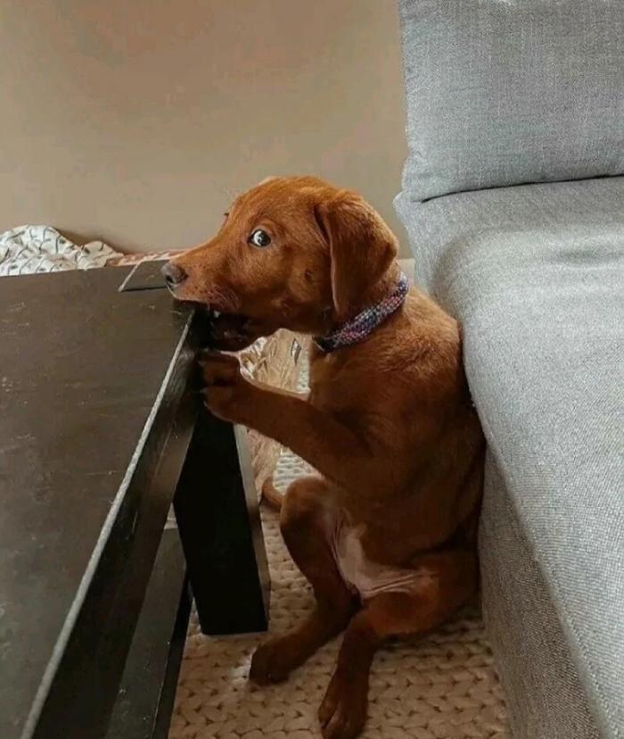 Подборка прикольных фото №3856