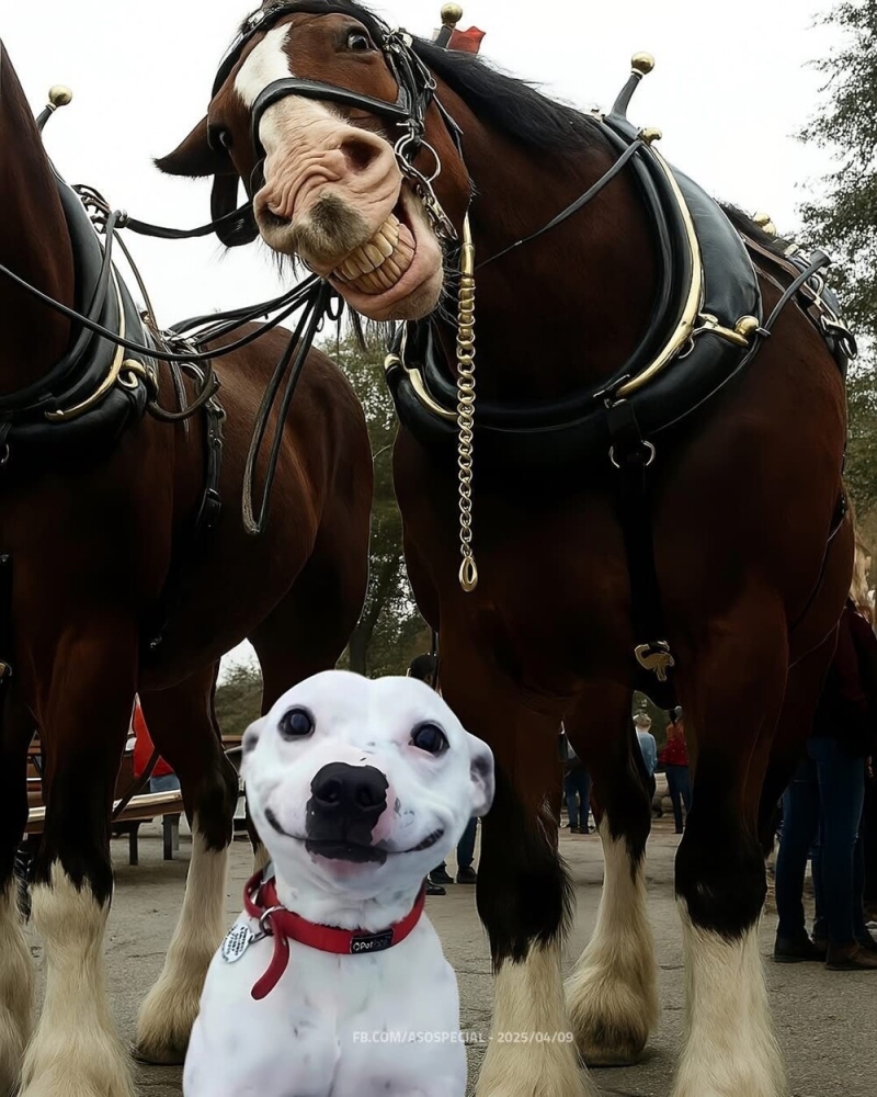 
        20+ скакунов, способных моментально преобразиться в&nbsp;забавных клоунов    