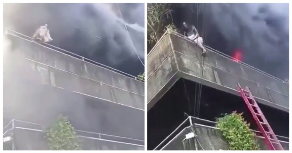 
        Драматичное спасение женщины и&nbsp;её&nbsp;собак во&nbsp;время пожара на&nbsp;Филиппинах    